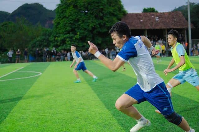 任何影响球 任何影响球