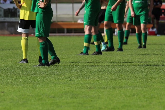 但并不意味 但并不意味