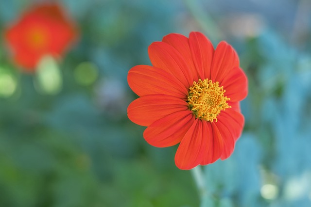 这不仅使球 这不仅使球