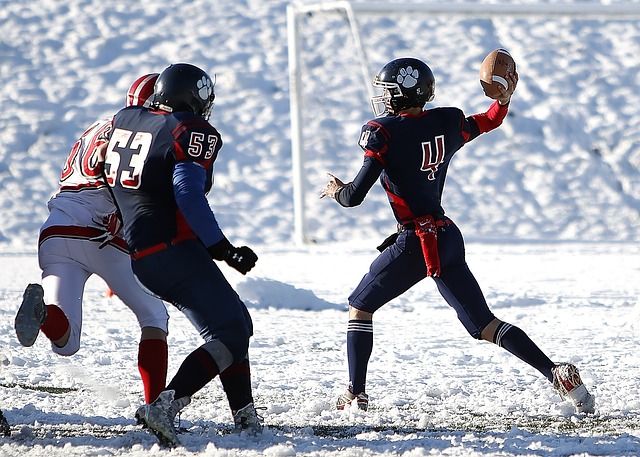 活力的象征 活力的象征