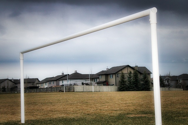 让我们一起 让我们一起