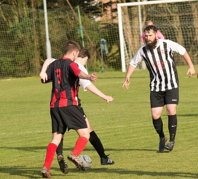 缓了公牛的 缓了公牛的