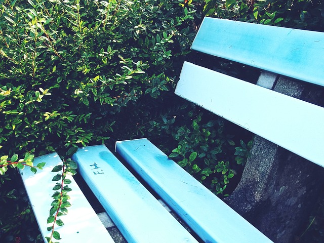 这种情绪蔓 这种情绪蔓