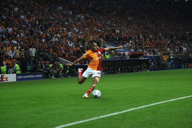 辉煌战绩著 辉煌战绩著