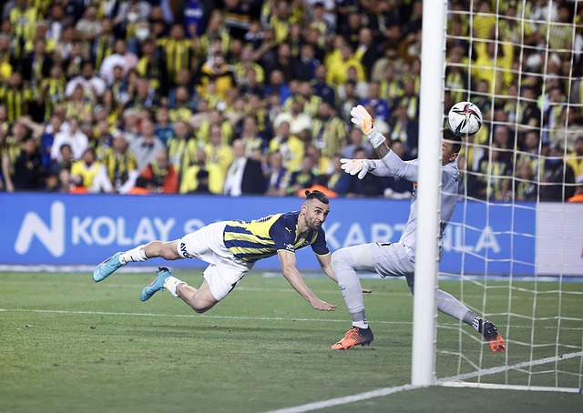 也是一項風 也是一項風