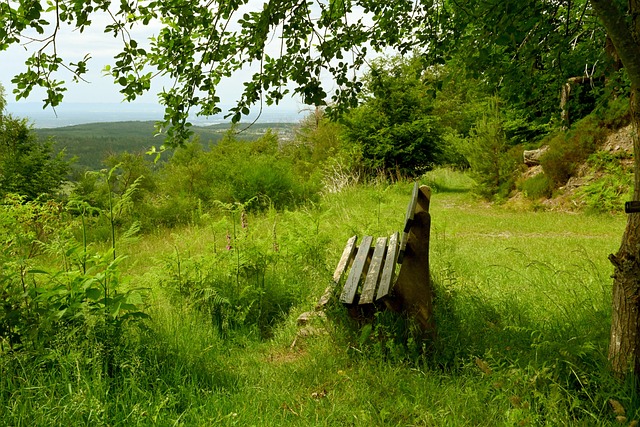 仅是两支劲 仅是两支劲
