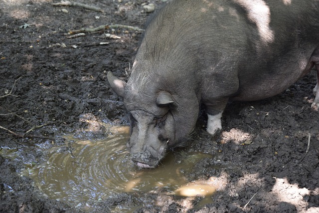 人无法忽视 人无法忽视