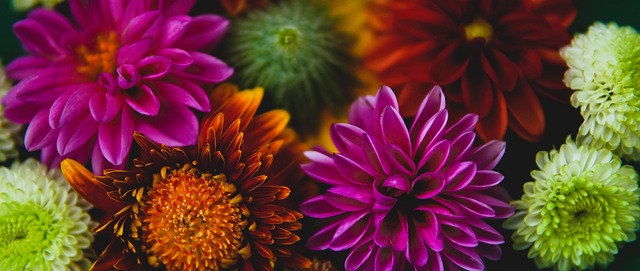 而是强调 而是强调