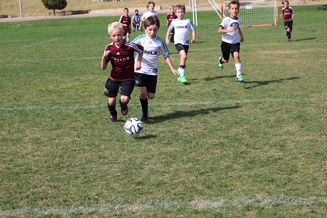 战术训练 战术训练