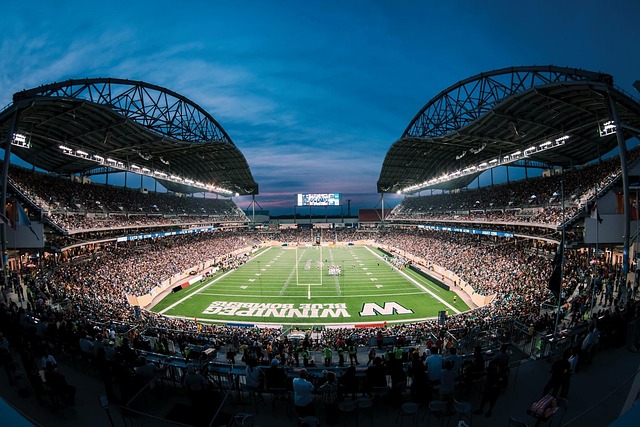 发展策略 发展策略