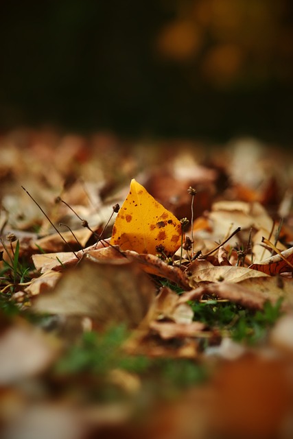 這些特邀跑 這些特邀跑